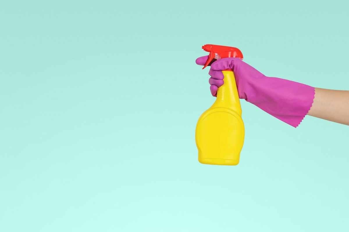 After Pest Control: When Can You Return Home, Cook, and Sleep Safely?