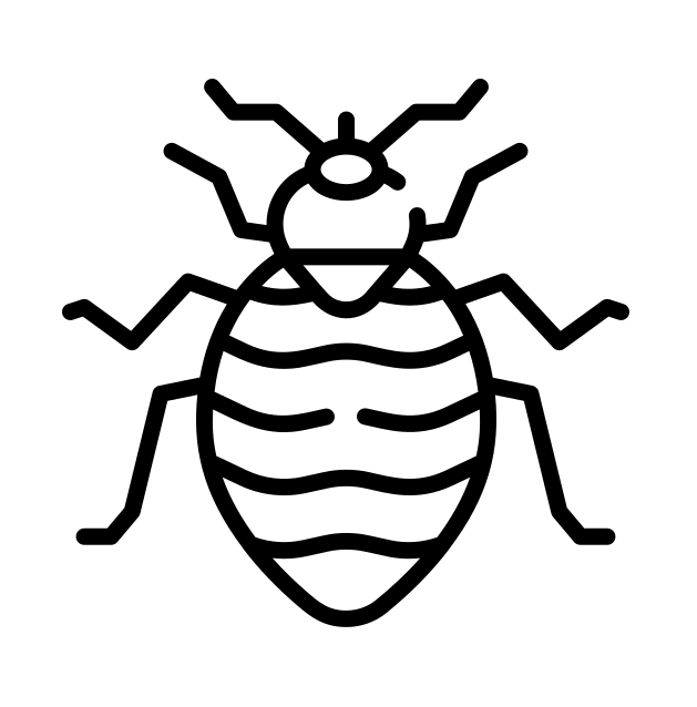 bed-bug bed-bug