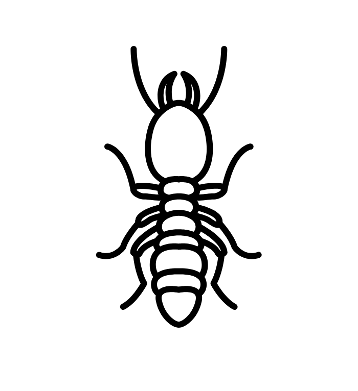 noun-termite-8029981 noun-termite-8029981