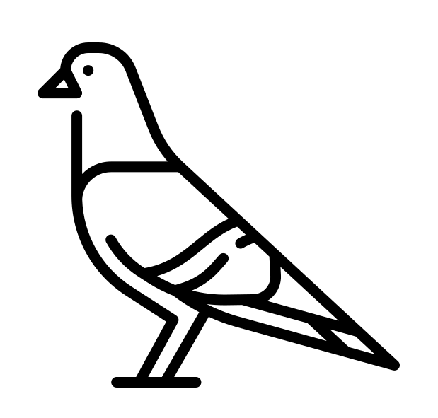 pigeon pigeon