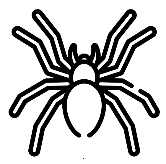 spider spider