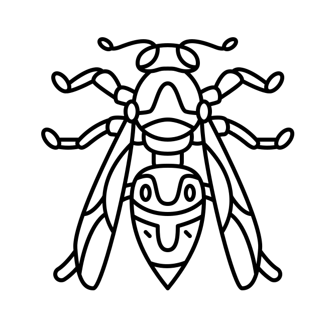 wasp wasp